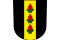 Wetzikon (ZH)