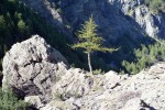 Region_ItalienPiemont_003