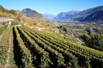 Schweiz027