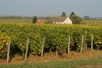 Französisches Weingut, Region Champagne-Ardenne
