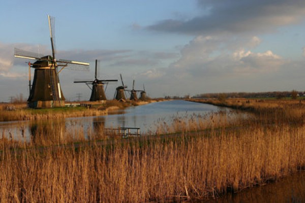 Windmühlen von Kinderdijk im Winter