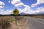 Kiwi Roadsign vor dem Mount Ngauruhoe, Neuseeland