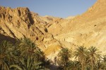 Berg-Oase mit Dattelpalmen, Tunesien