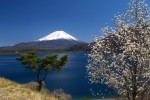 Vulkan Mt. Fuji und Motosu Lake, Japan