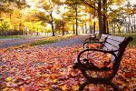 Herbst in Ontario, Kanada