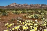 California053