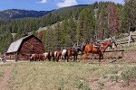 Ranch in Montana