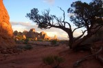 Windows Section, Arches National Park