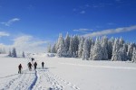 Winterszene in der Steiermark