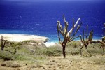 Arikok Nationalpark, Aruba