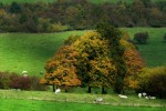 Landschaft in den Ardennen