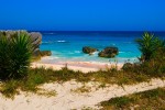 Tropical Beach, Bermuda