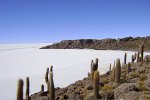 Isla de Pescado, Bolivia