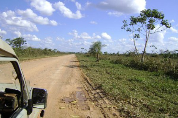 Landscape near Rurrenabaque, Bolivia