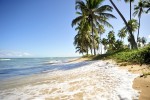 Praia do Forte in Salvador de Bahia