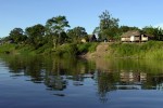 Ufer des Amazonas Rivers, Brasilien