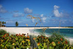 Tropischer Strand auf den Bahamas