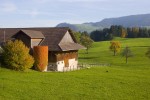 Bauernhof in der Region Zürich