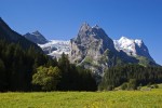 Reichenbachtal, Rosenlauigletscher und Wetterhorn