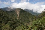 Landschaft bei Tandayapa, Ecuador