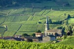 Weinberge von Vergisson, Region Burgund