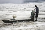 Hundeschlitten in Grönland