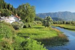 Skutarisee im Nationalpark, Montenegro