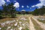 Weg im Lovcen Nationalpark zum Gipfel