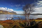 Lofoten Inseln, im Norden von Norwegen