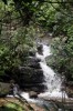 Rio de la Mina im El Yunque Nationalpark, Puerto Rico