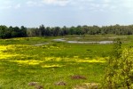 Naturschutzgebiet Obedska