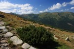 Pinienlandschaft, Niedere Tatra