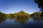 Reservat Laguna de la Restinga, Isla Margarita