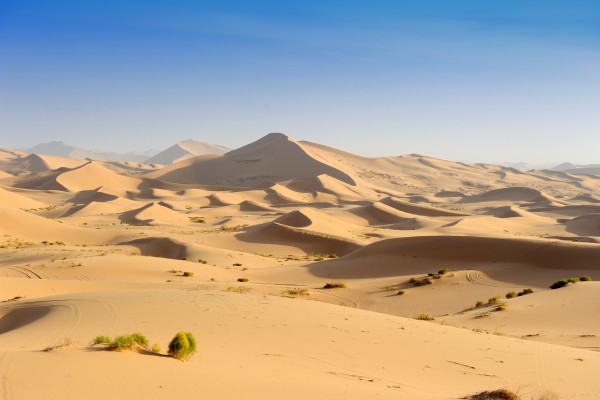 Sanddünen in der Wüste Sahara, Algerien