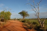 Tsavo East Nationalpark, Kenia