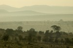 Blick über die Serengeti, Tansania