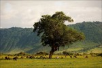 Landschaft in einem Krater von Ngoro Ngoro, Tansania