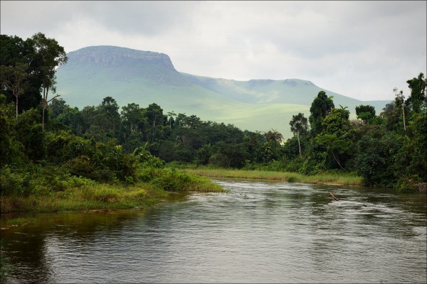 Kleiner Fluss im Jungle, Kongo