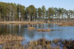 Einsamer See in Sibirien, Russland