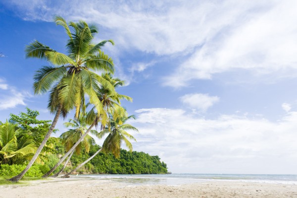 La Sagesse Bay, Grenada