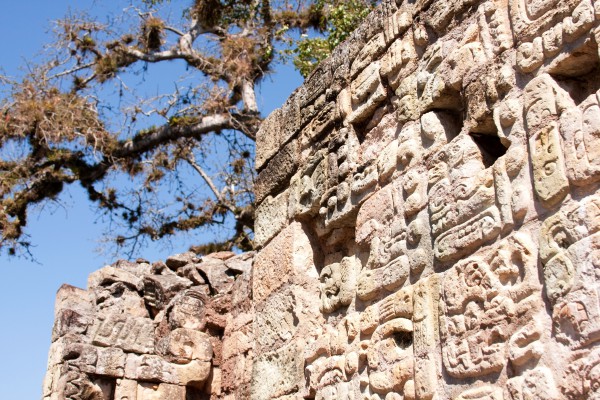 Felszeichnungen, Maya Tempel in Copan, Honduras