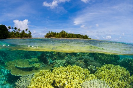 Korallenriff, Marshallinseln, Mikronesien