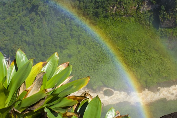 Kaieteur Falls in Guyana