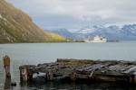 Holzsteg in Grytviken, Südgeorgien