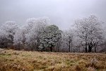 Winterlandschaft in Schottland