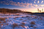 Winterlandschaft in Calgary