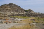 Dinosaur Provincial Park, Alberta