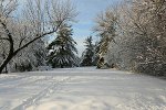 Winterlandschaft in Ontario, Kanada