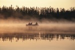 Fischer in Abitibi-Témiscamingue