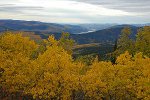 Landschaft in der Nähe von Dawson City, Yukon